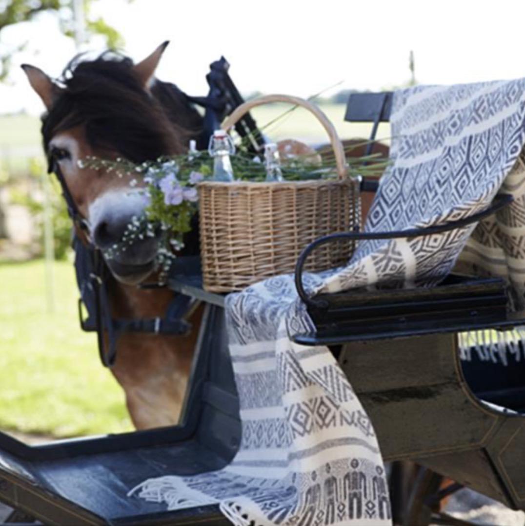 北欧クリッパン Klippans ブランケット 毛布