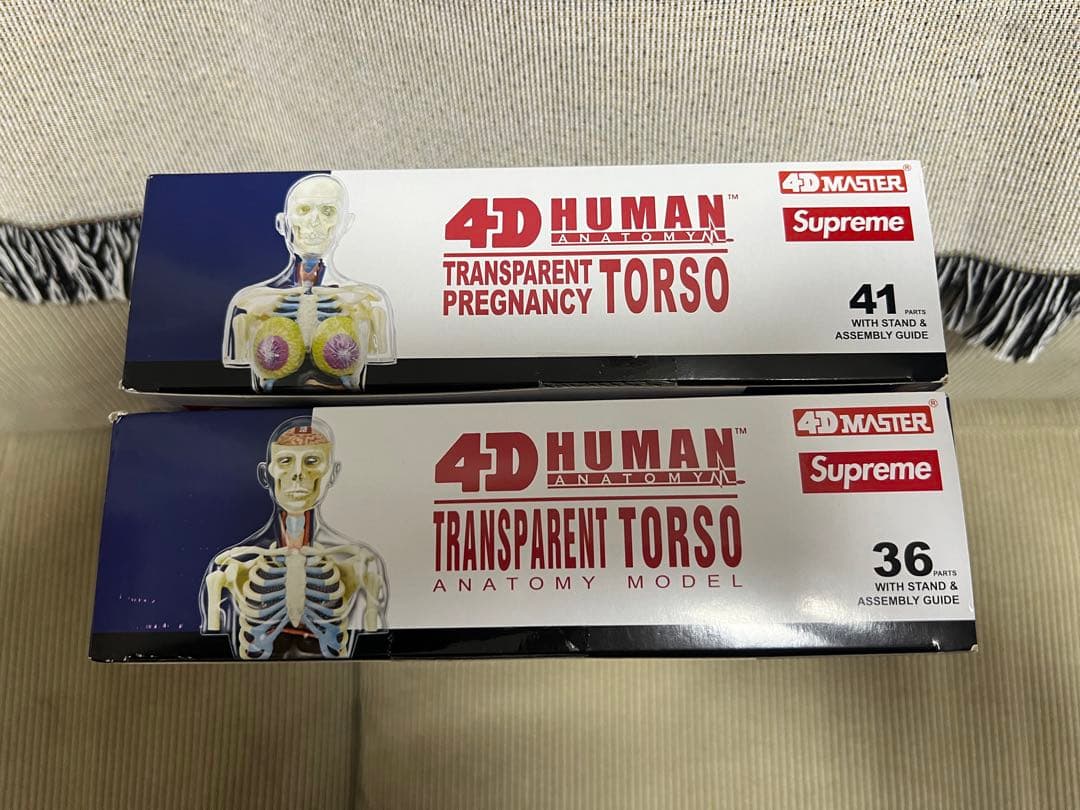 Supreme Anatomy Model 18AW 人体模型