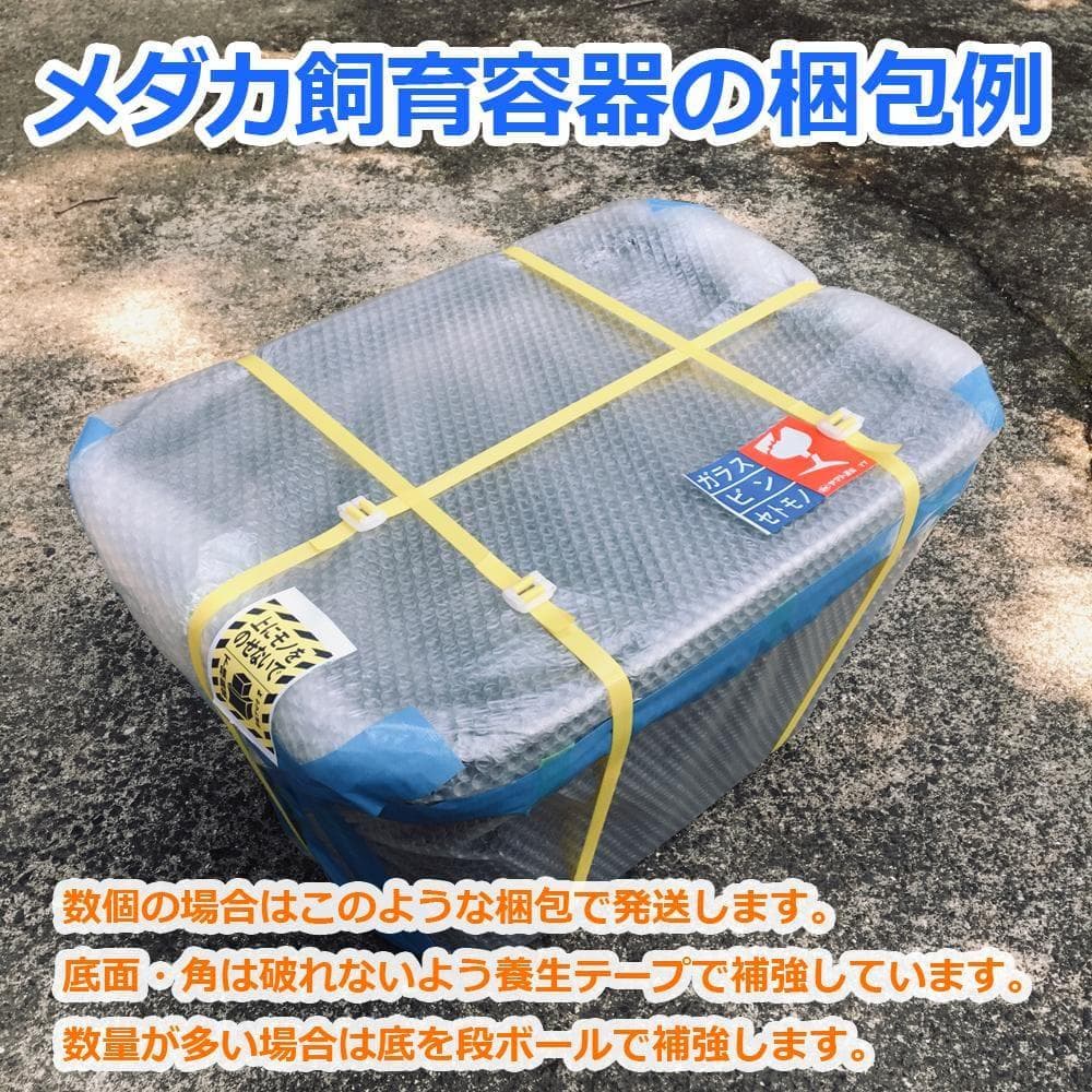 メダカ飼育ケース 60㍑トロ舟x5個 オーバーフロー 金魚飼育容 メダカ飼育容器