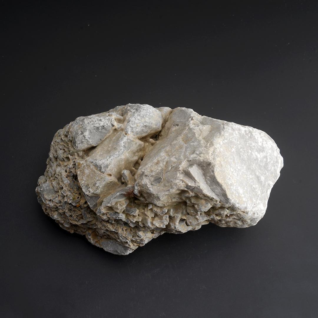 さざれ石（石灰質角礫岩 W26.2cm/D16.5cm/H13.4cm）071