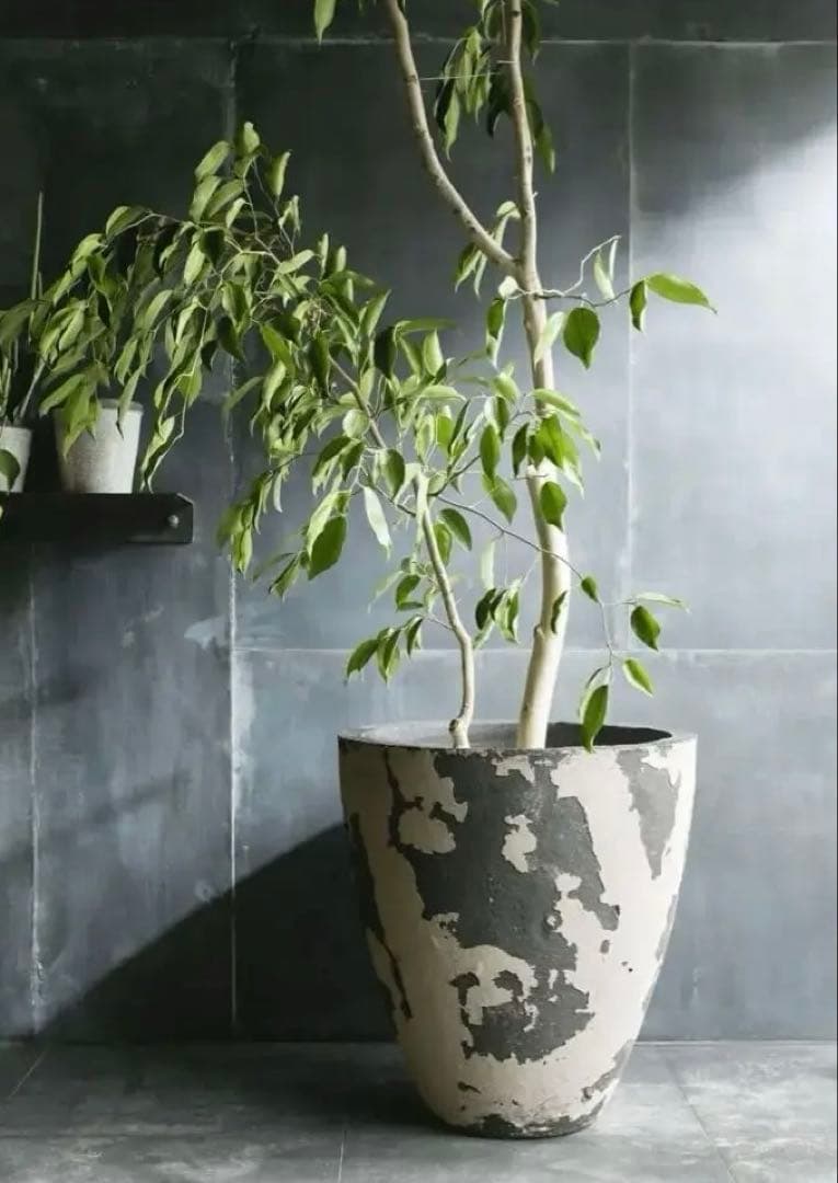 ドマーニ　NARA　domani 現地引き取りあり