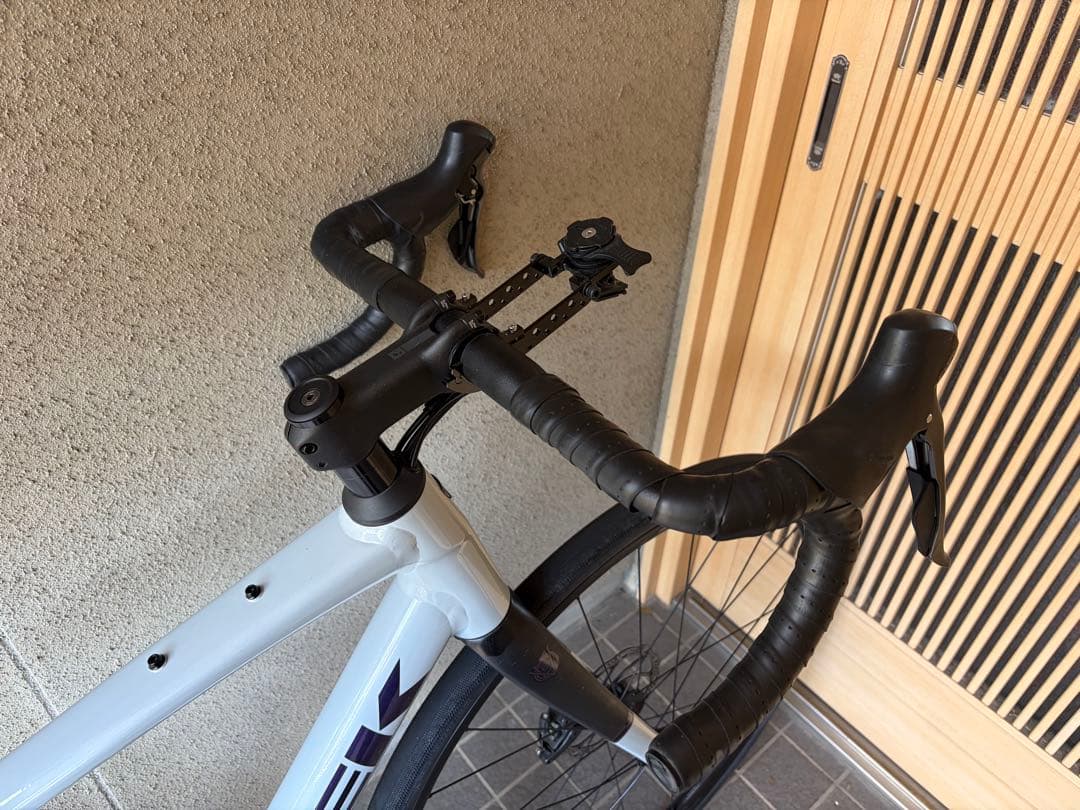 【サービス品付き】 TREK Domane AL 2 Gen4 ロードバイク