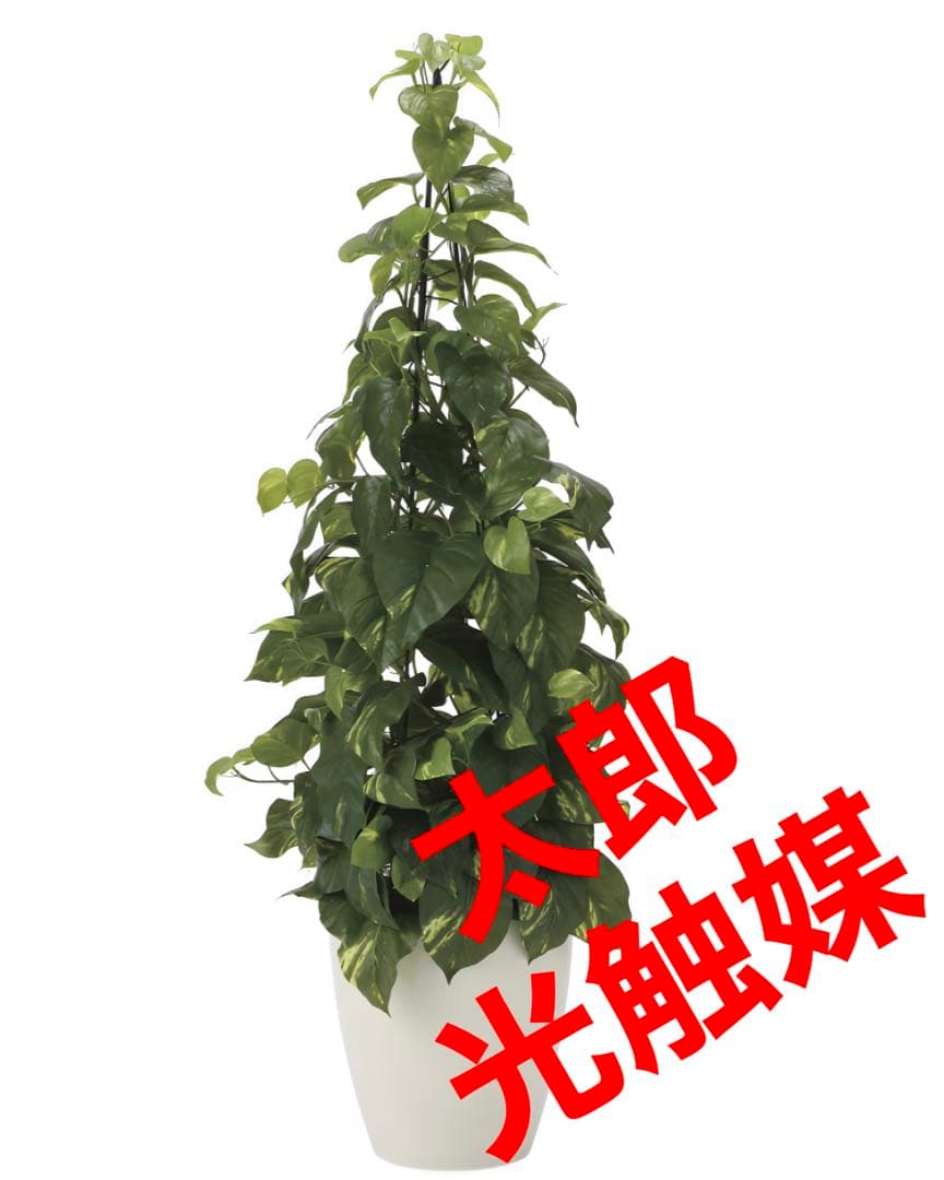 光触媒　人工観葉植物　フェイクグリーン　フレッシュポトス1.2m