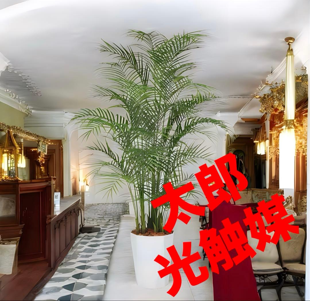 光触媒　人工観葉植物　ウォールグリーン　フェイクグリーン　アレカヤシ220PE