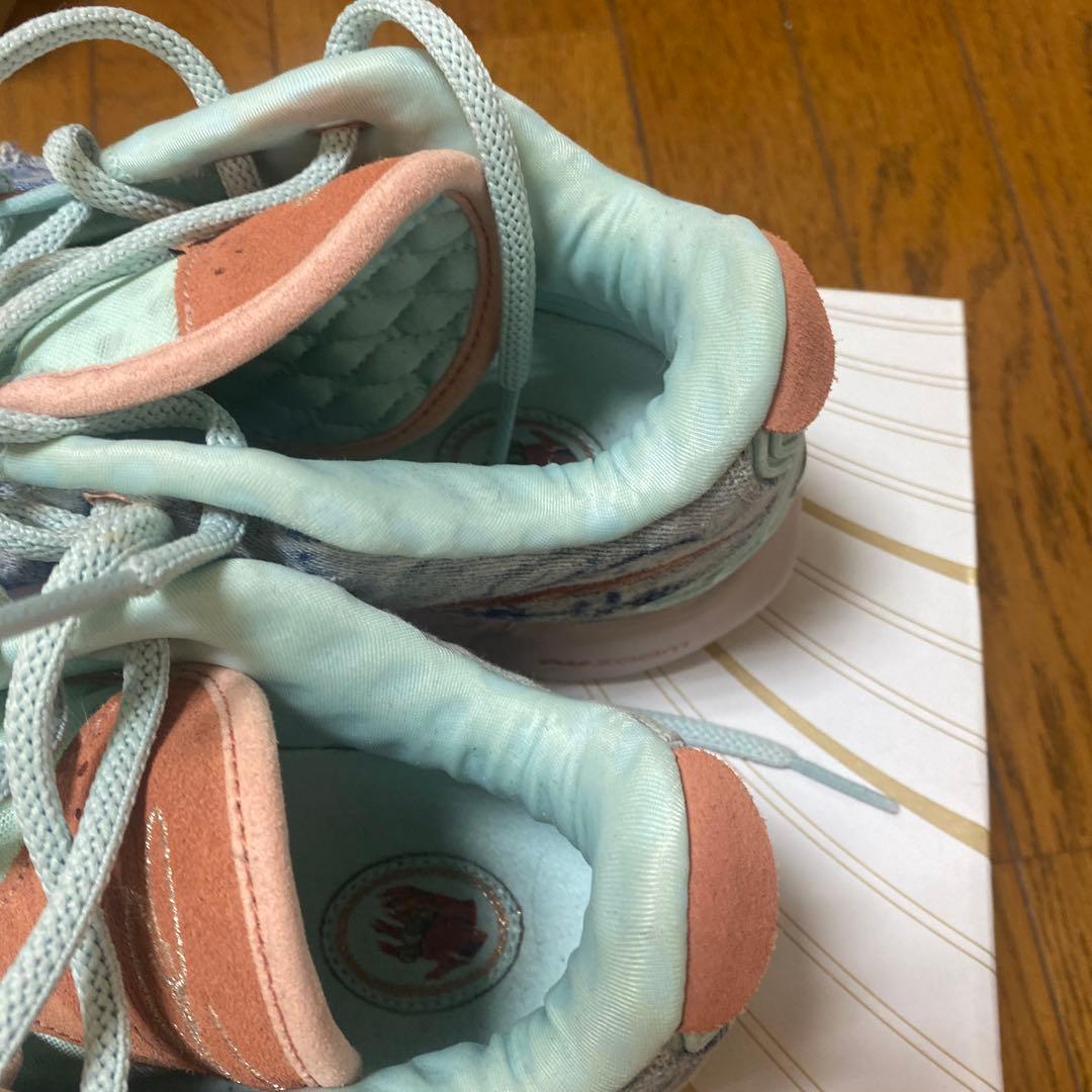 LEBRON XXI 9.5 ジョーダン　コービー　カイリー　海外限定カラー