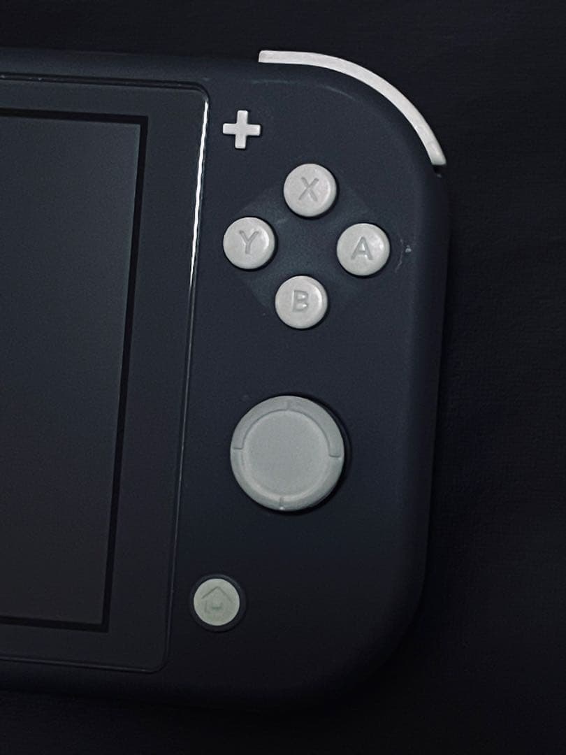 Nintendo Switch NINTENDO SWITCH Lite GRAY