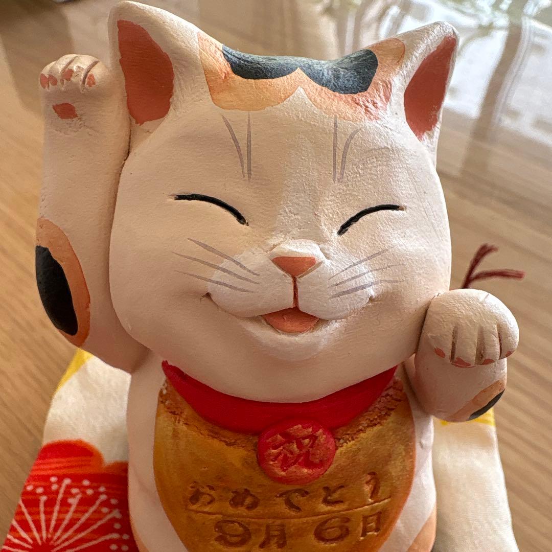 作家　もりわじん　マツコの知らない世界紹介　招き猫