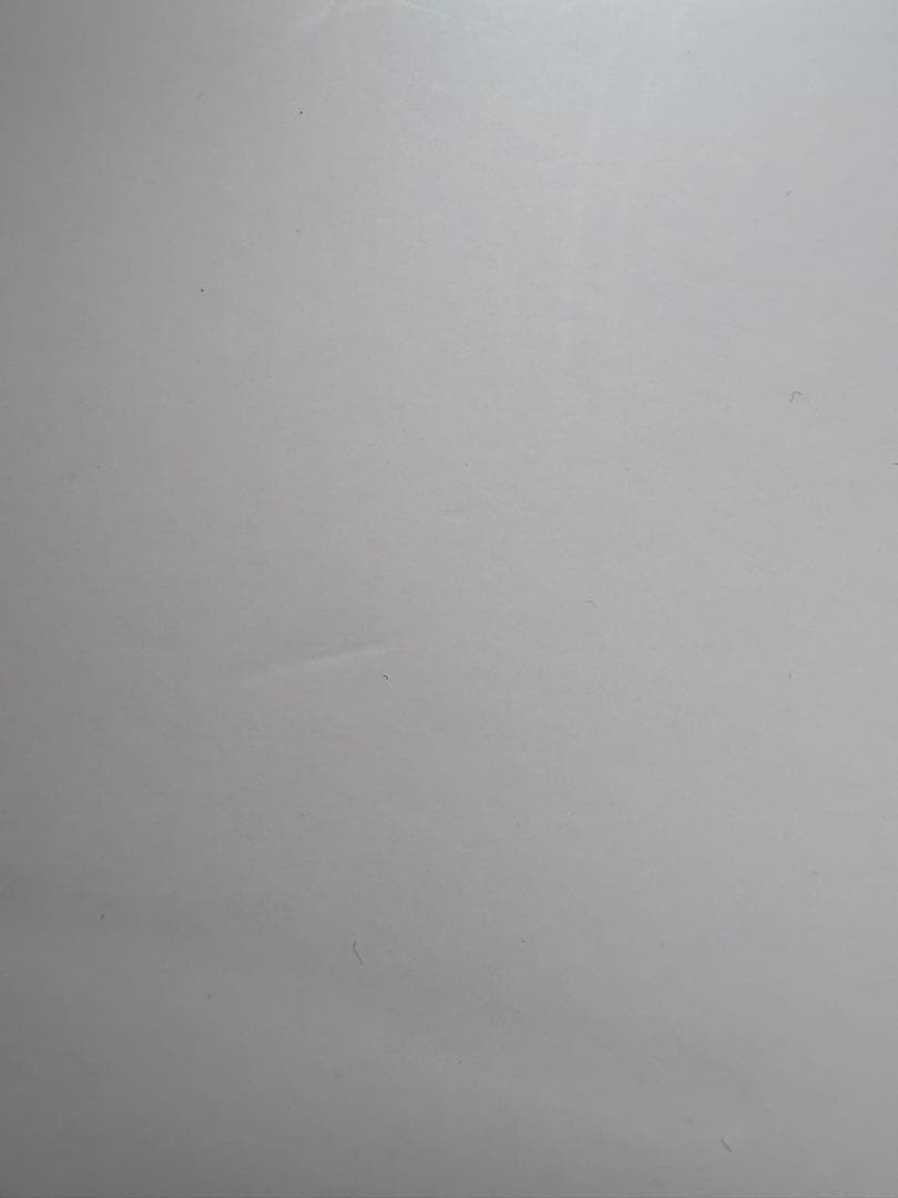 ポケモン LE CREUSET ル・クルーゼ　ポケモン ミニ・ディッシュ