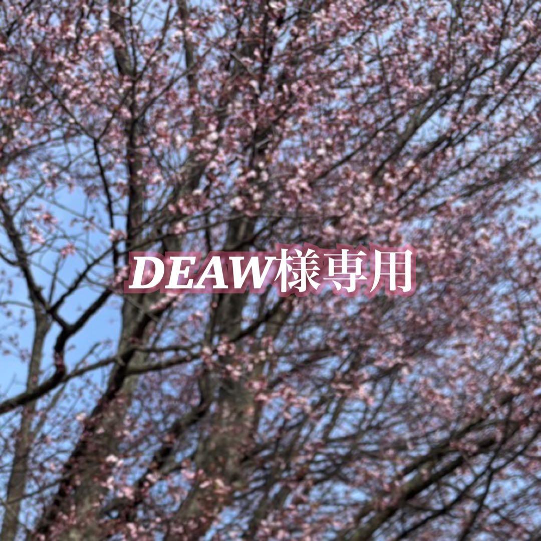 DEAW　2点まとめ　まとめ買い割適応