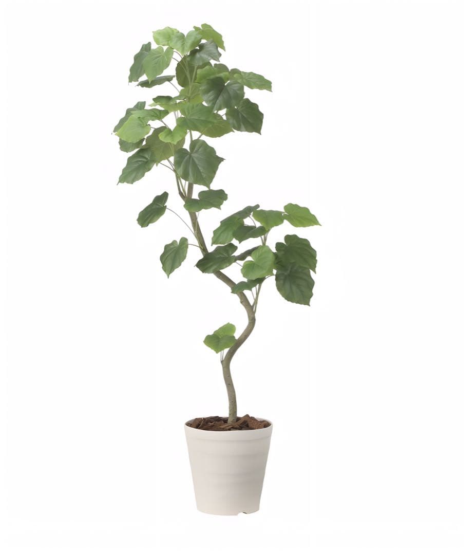 光触媒　人工観葉植物　フェイクグリーン　ツイストウンベラータ1.6
