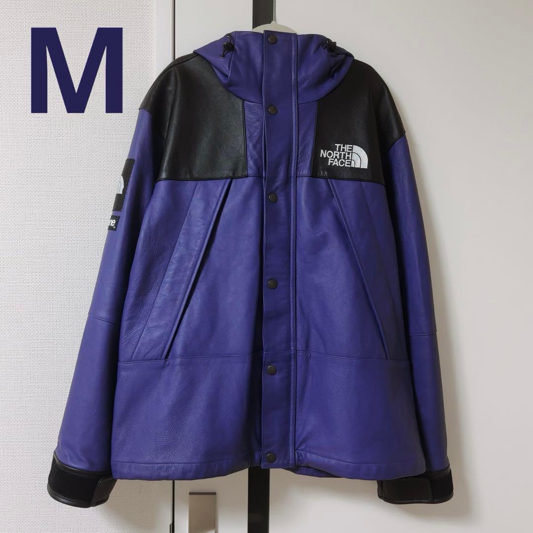シュプリーム　ノースフェイス　レザー　マウンテンパーカ　M