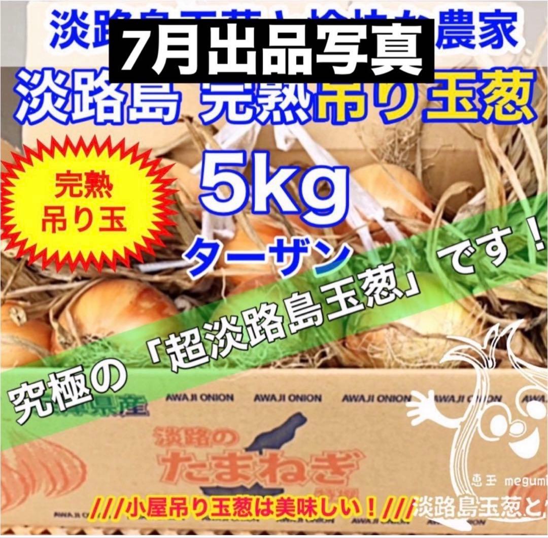 ＜もう直ぐ終了＞淡路島 玉ねぎ苗 ターザン 1,000本 たまねぎ苗 玉葱苗