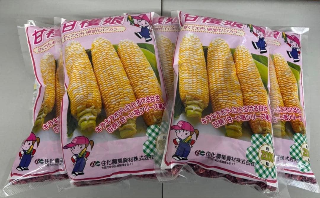 スイートコーン種子 甘穫娘 2000Ｒ×4袋