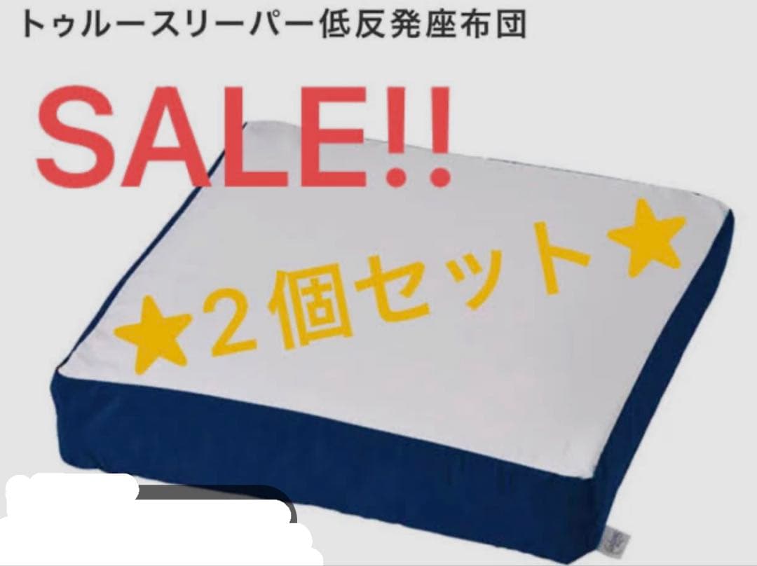 【新品 未使用】トゥルースリーパー 低反発座布団 クッション 2個セット売り