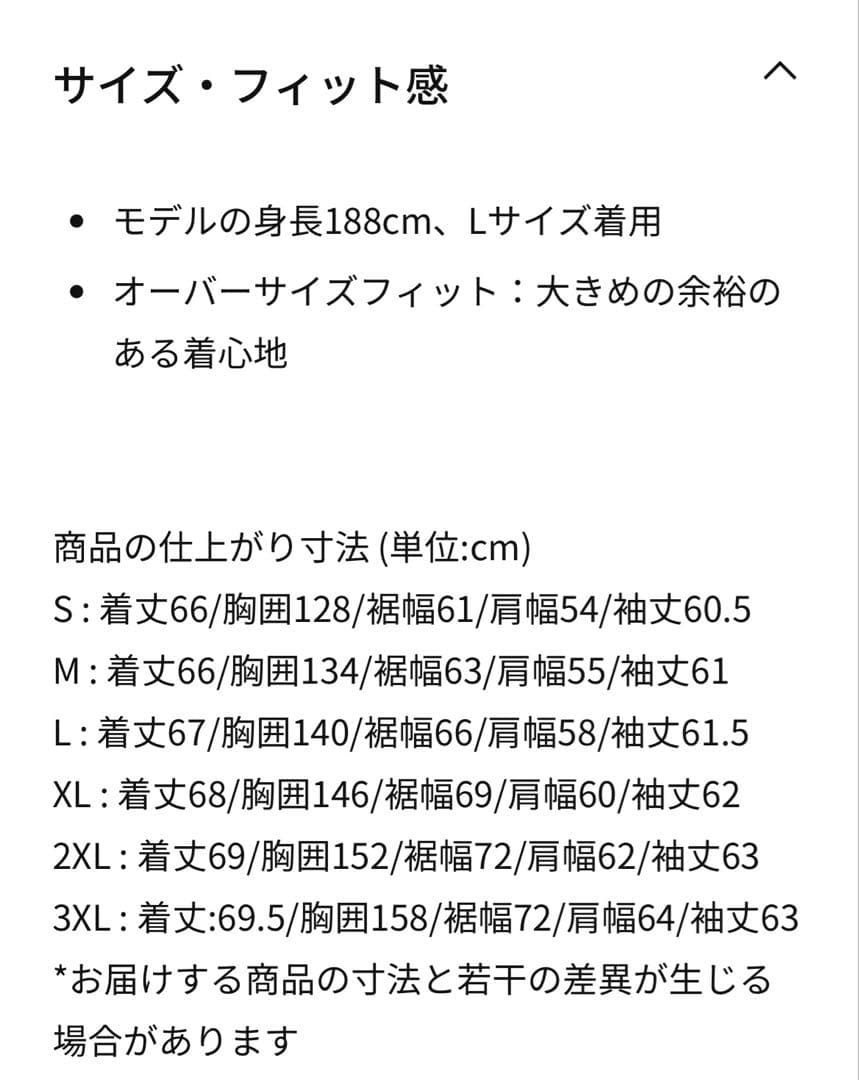 未使用ナイキ ACG PrimaLoft® \"Skull Peak\"ジャケット