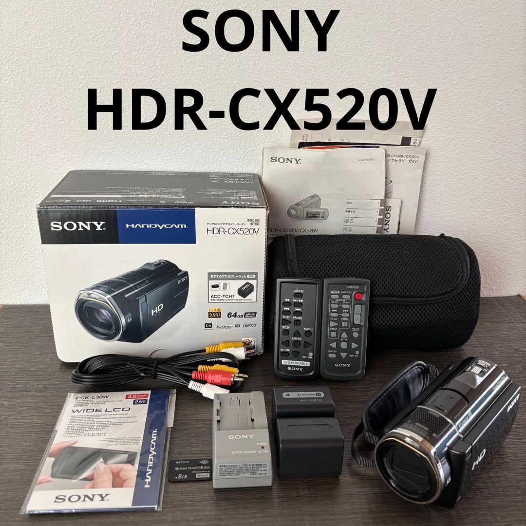 SONY HDR-CX520Vデジタルビデオカメラ おすすめアクセサリーキット付
