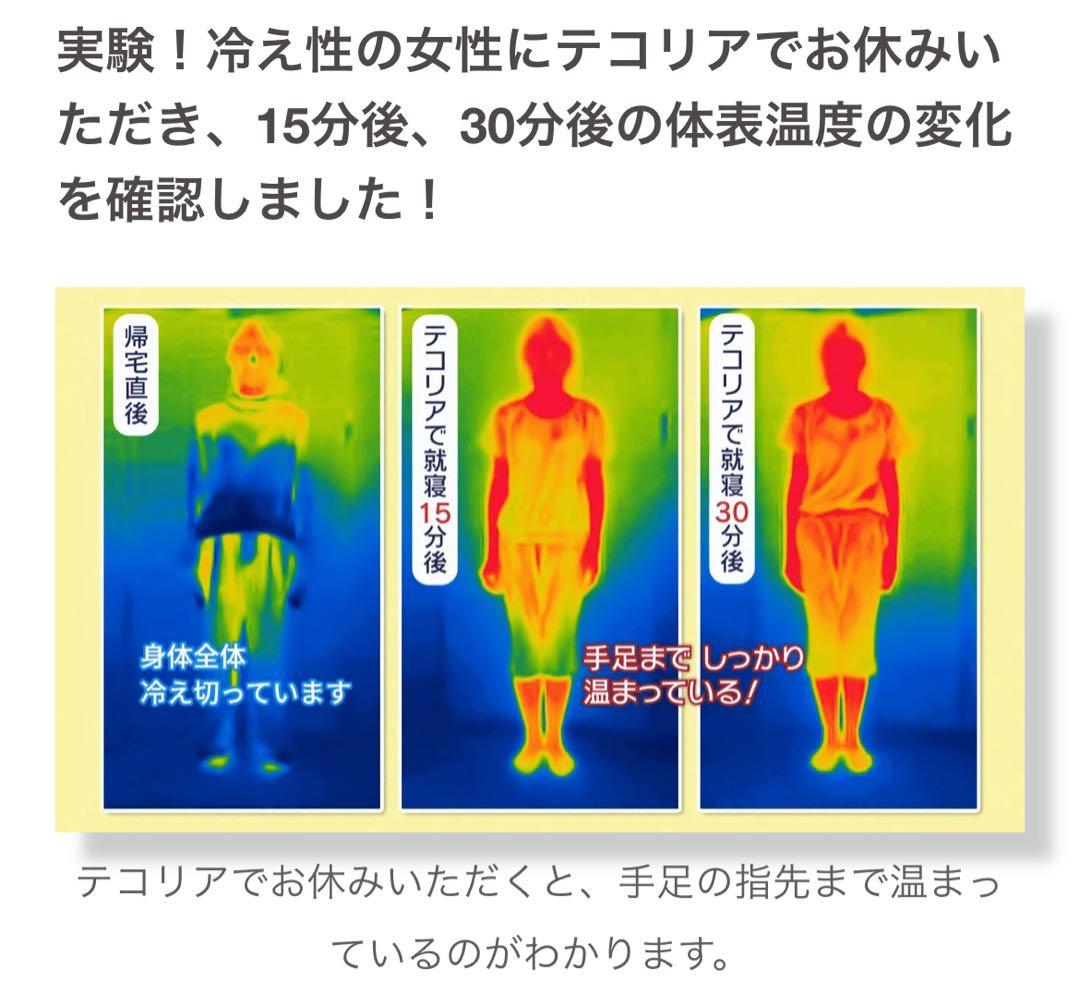 【新品】【定価80%OFF】空気循環マットレス テコリア クイーン