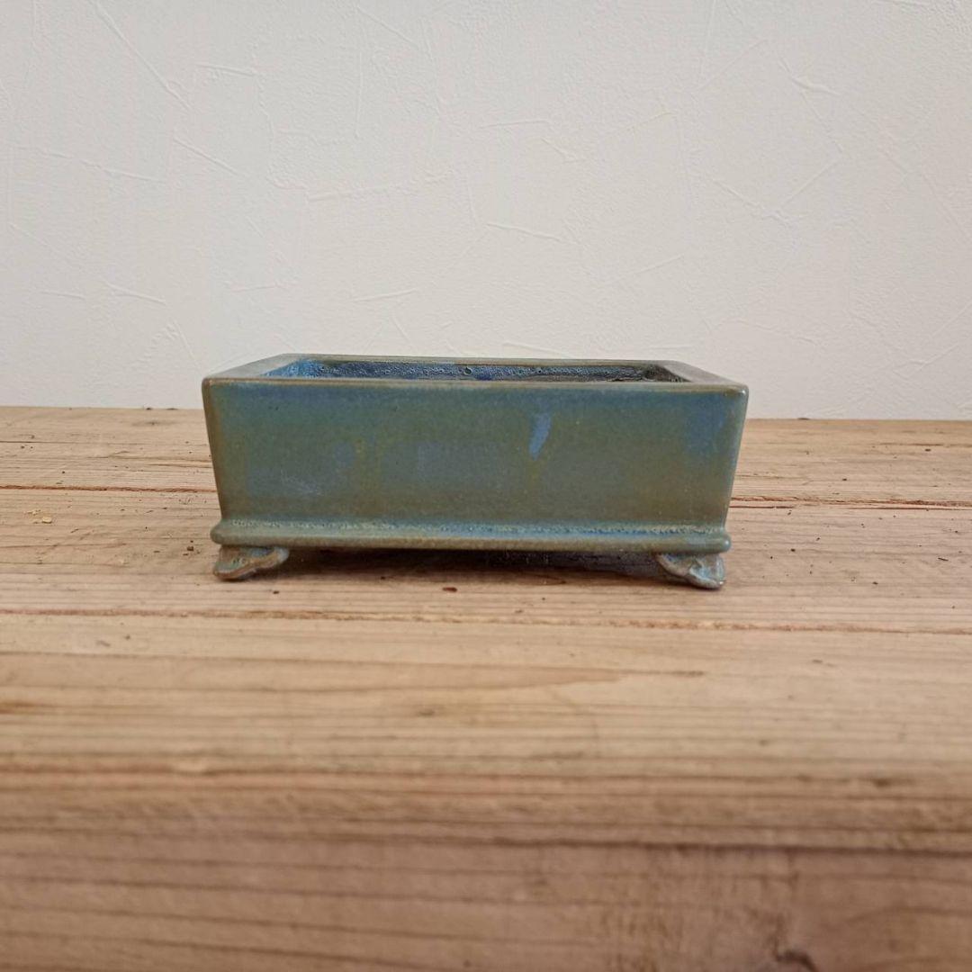 盆栽　平安香山鉢　鉢寸法11.3×3.8×4.3