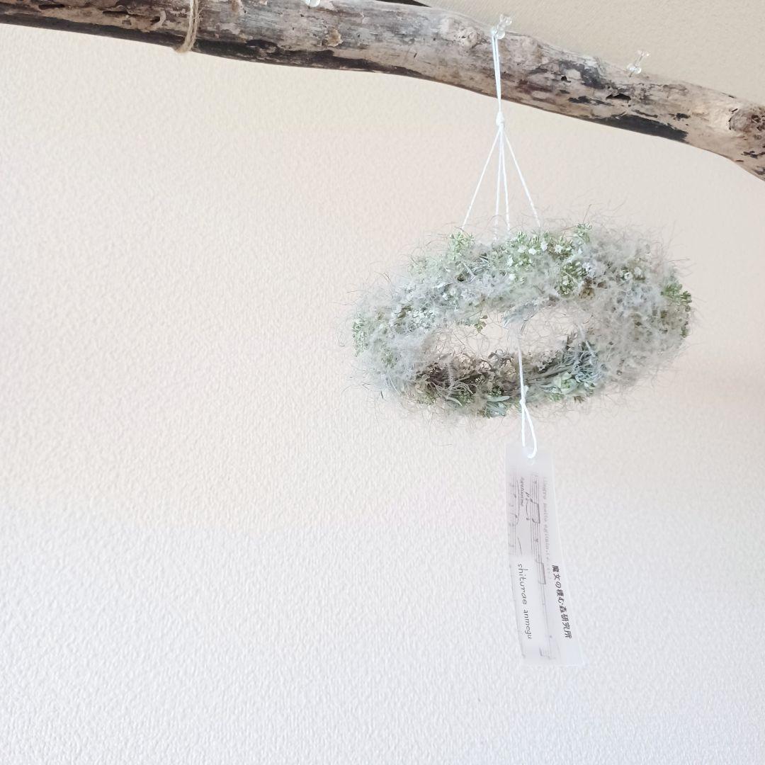 灯台守の植物園 ～herbier de brume～ ドライフラワー リース