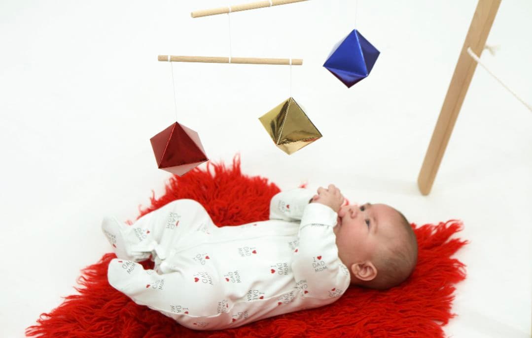 モンテッソーリモビール 13ピースセット