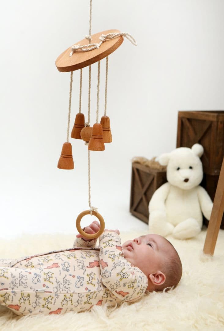 モンテッソーリモビール 13ピースセット