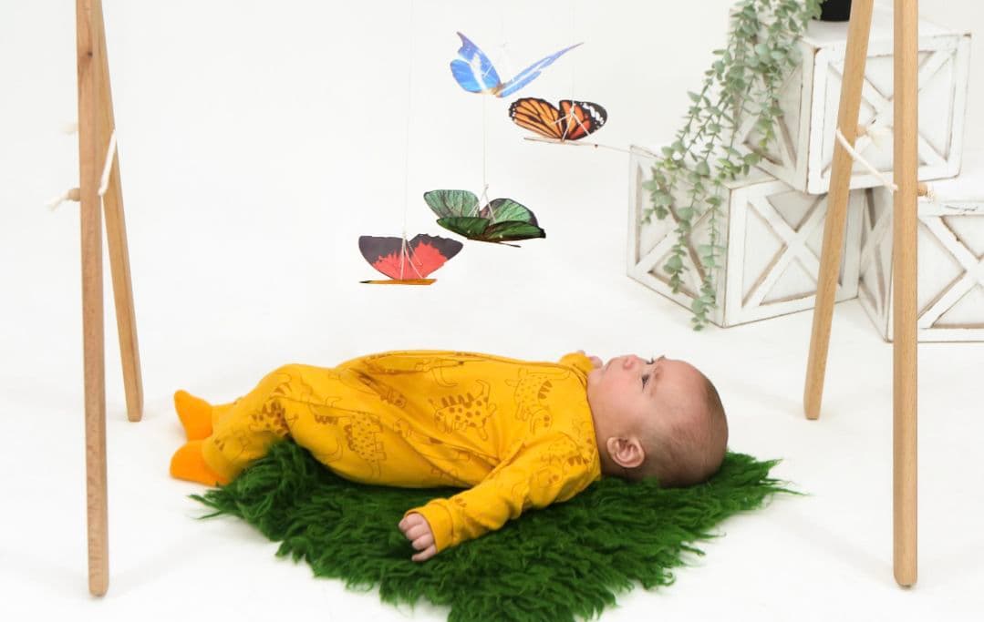 モンテッソーリモビール 13ピースセット