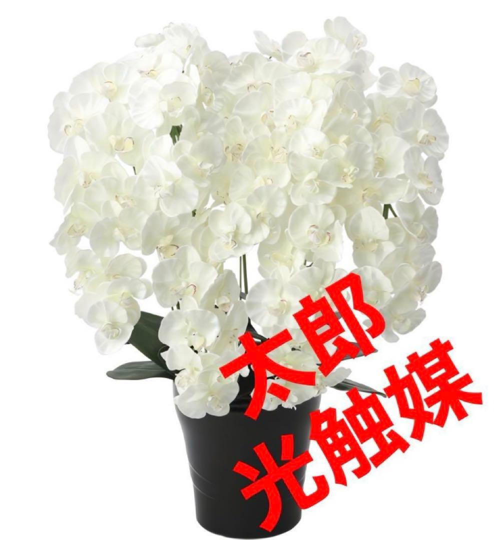 光触媒　人工観葉植物　フェイクグリーン　プレミアム胡蝶蘭7本立W