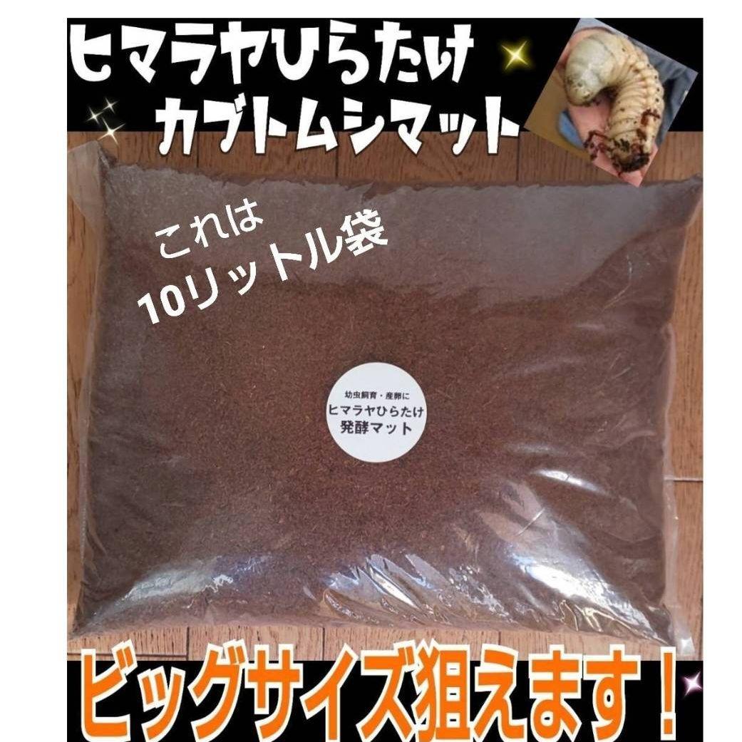 たっぷり200リットル☆大量飼育に！カブトムシ幼虫専用発酵マット☆産卵にも抜群！