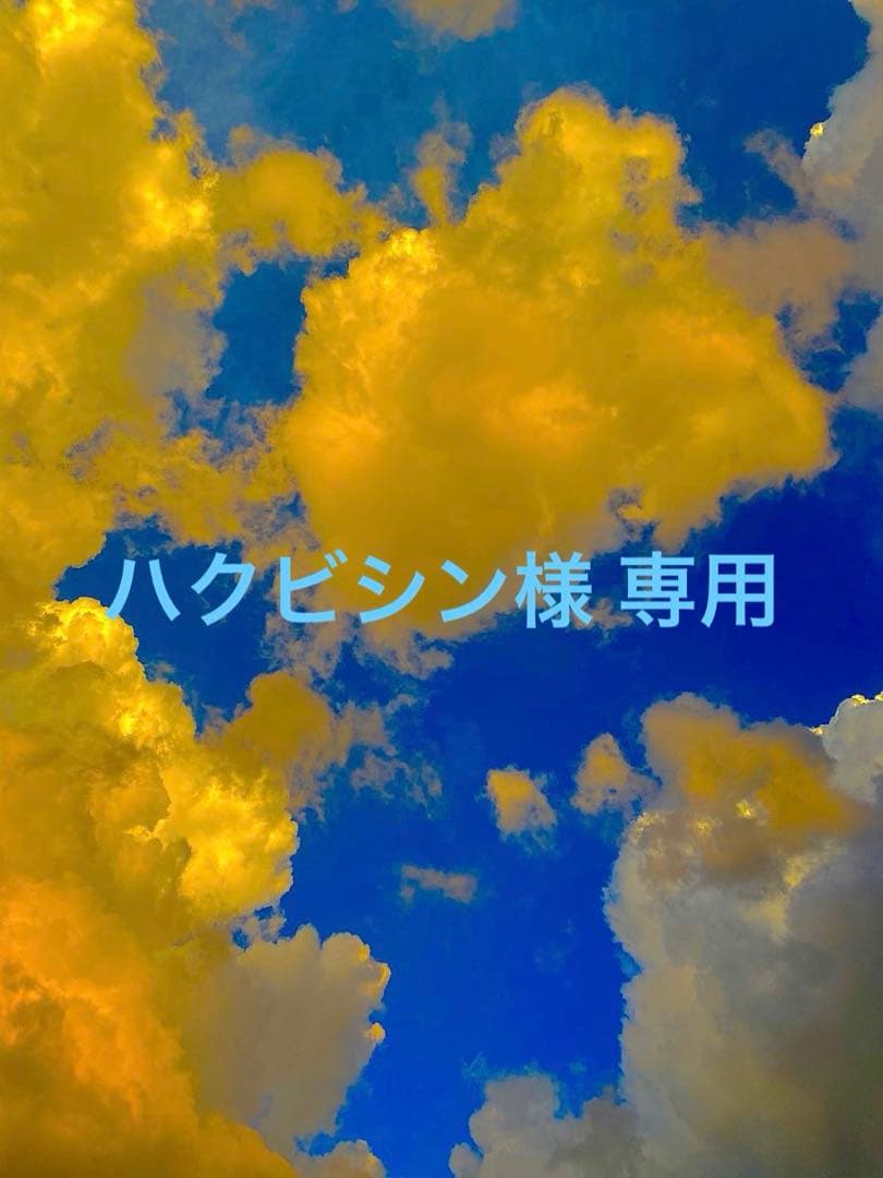 【⭐️超級・玄関映え浄化‼︎⭐️】茶色 マダガスカル産 巨大アンモナイト 化石 他1点