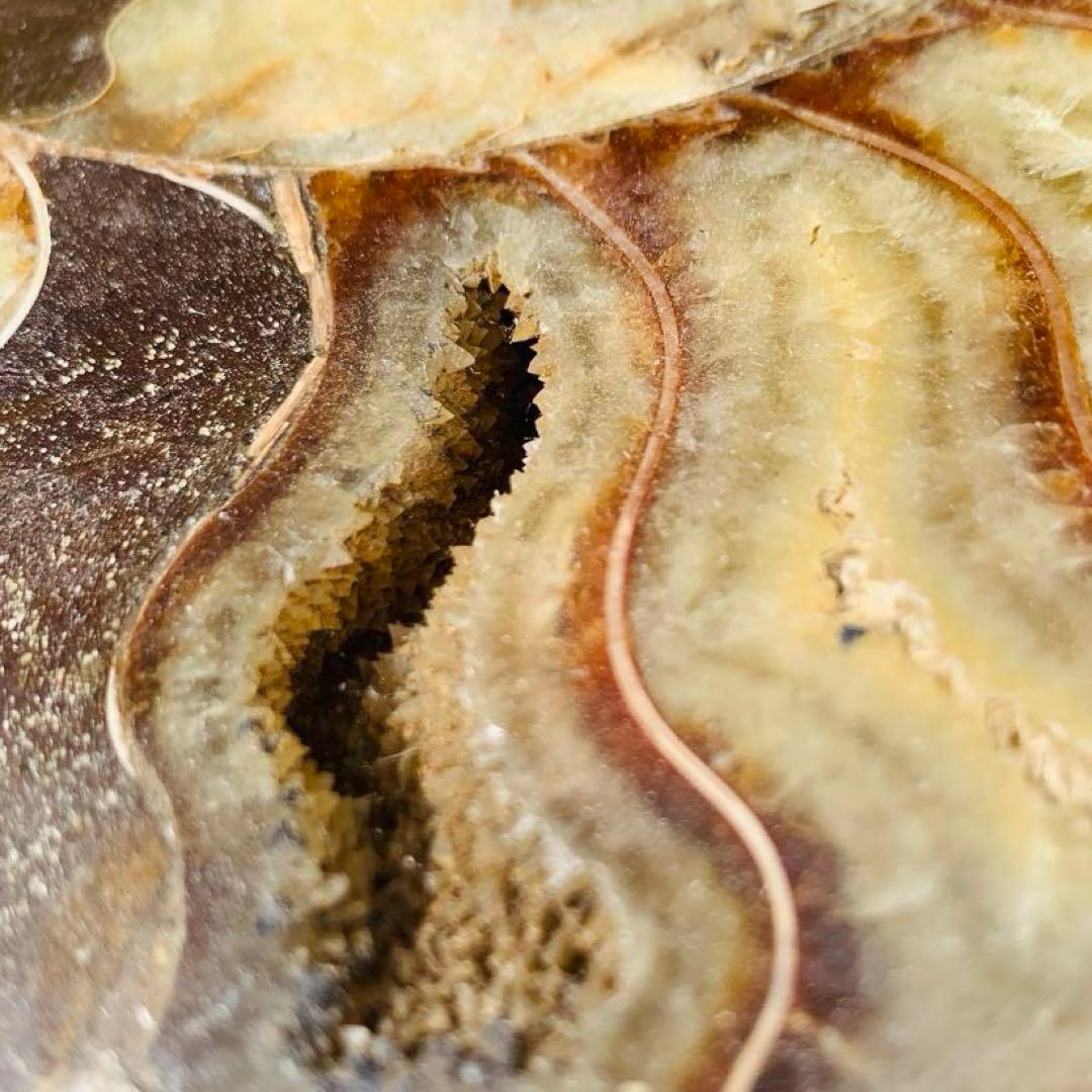 【⭐️超級・玄関映え浄化‼︎⭐️】茶色 マダガスカル産 巨大アンモナイト 化石 他1点