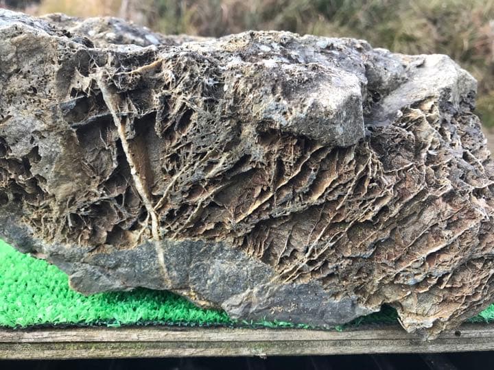京の銘石　加茂七石『賎機糸掛石』(溜まり石)