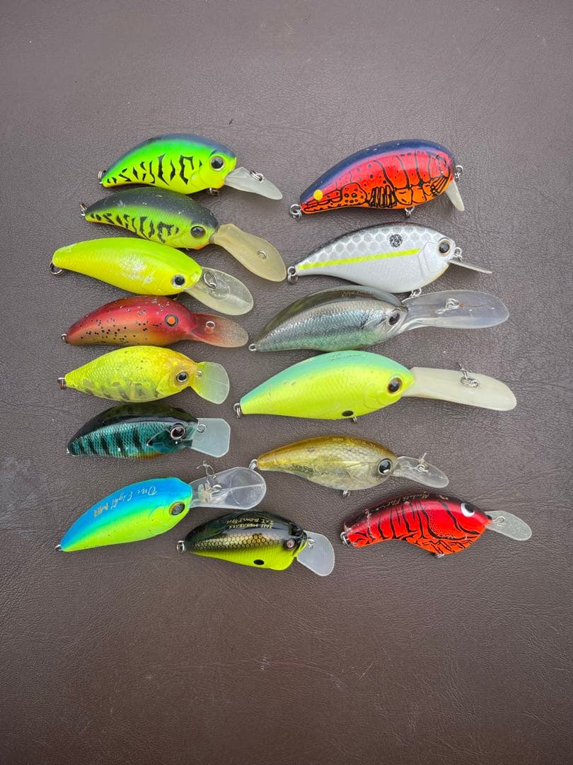 エバーグリーン　他セット