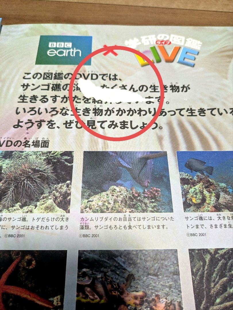 学研の図鑑 LIVE　13冊セット　DVD付き