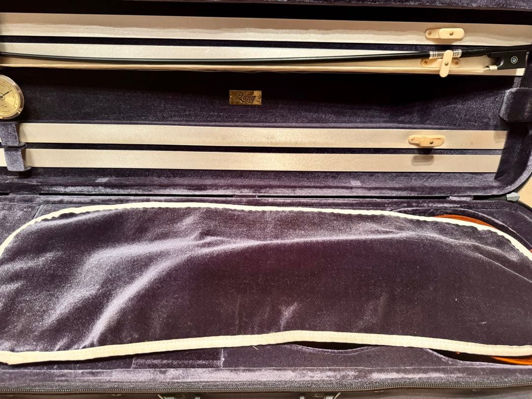 Gliga GEMS 4/4 バイオリンセット