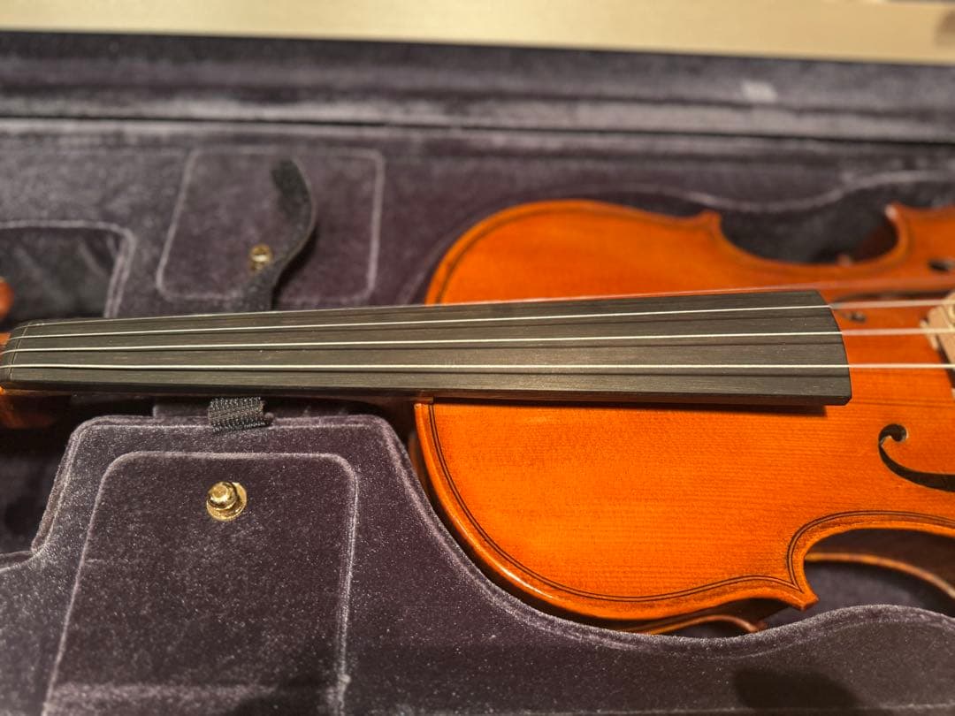 Gliga GEMS 4/4 バイオリンセット