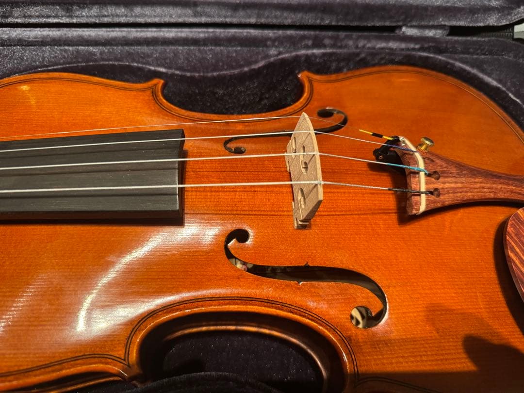 Gliga GEMS 4/4 バイオリンセット