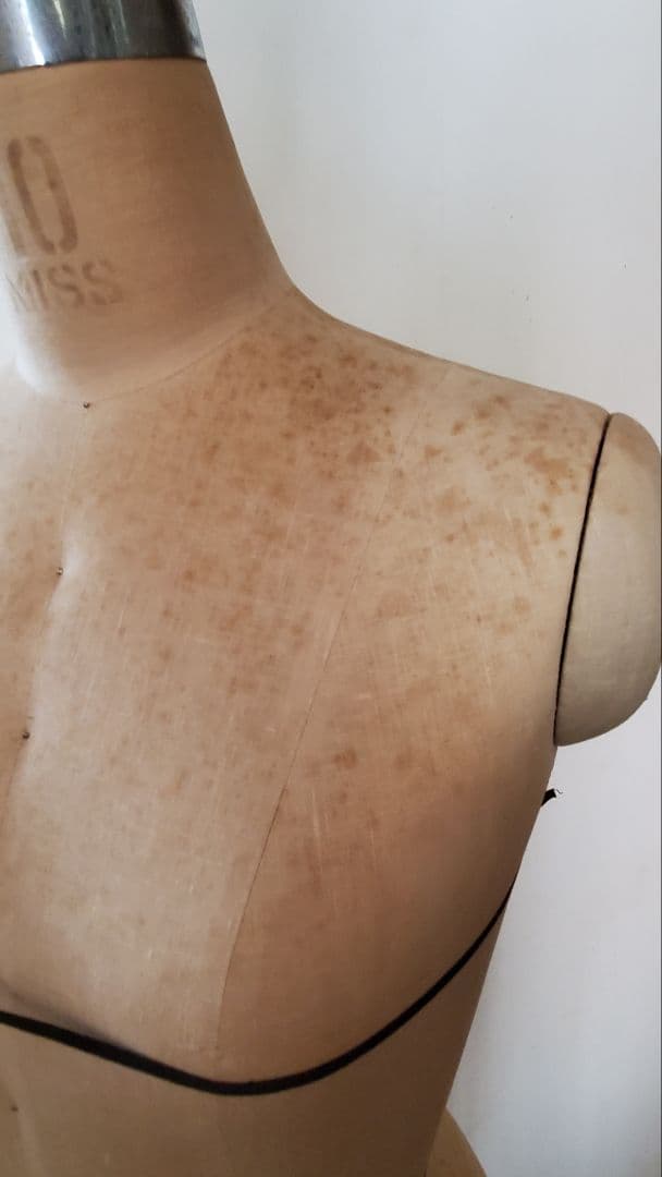 太陽工業アミコボディ10号