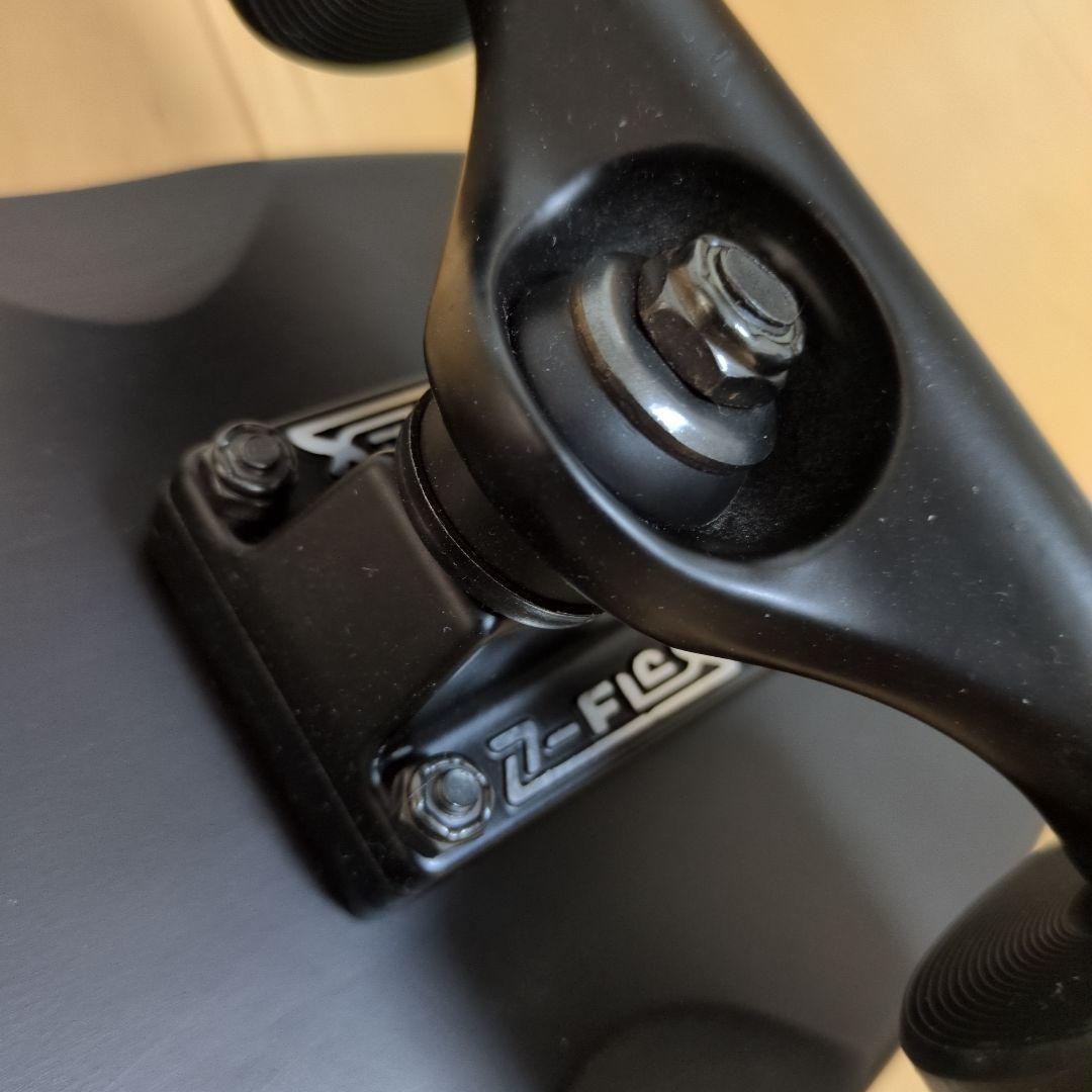 Z-FLEX CRUISER 29inch 　FESN　スケートボード