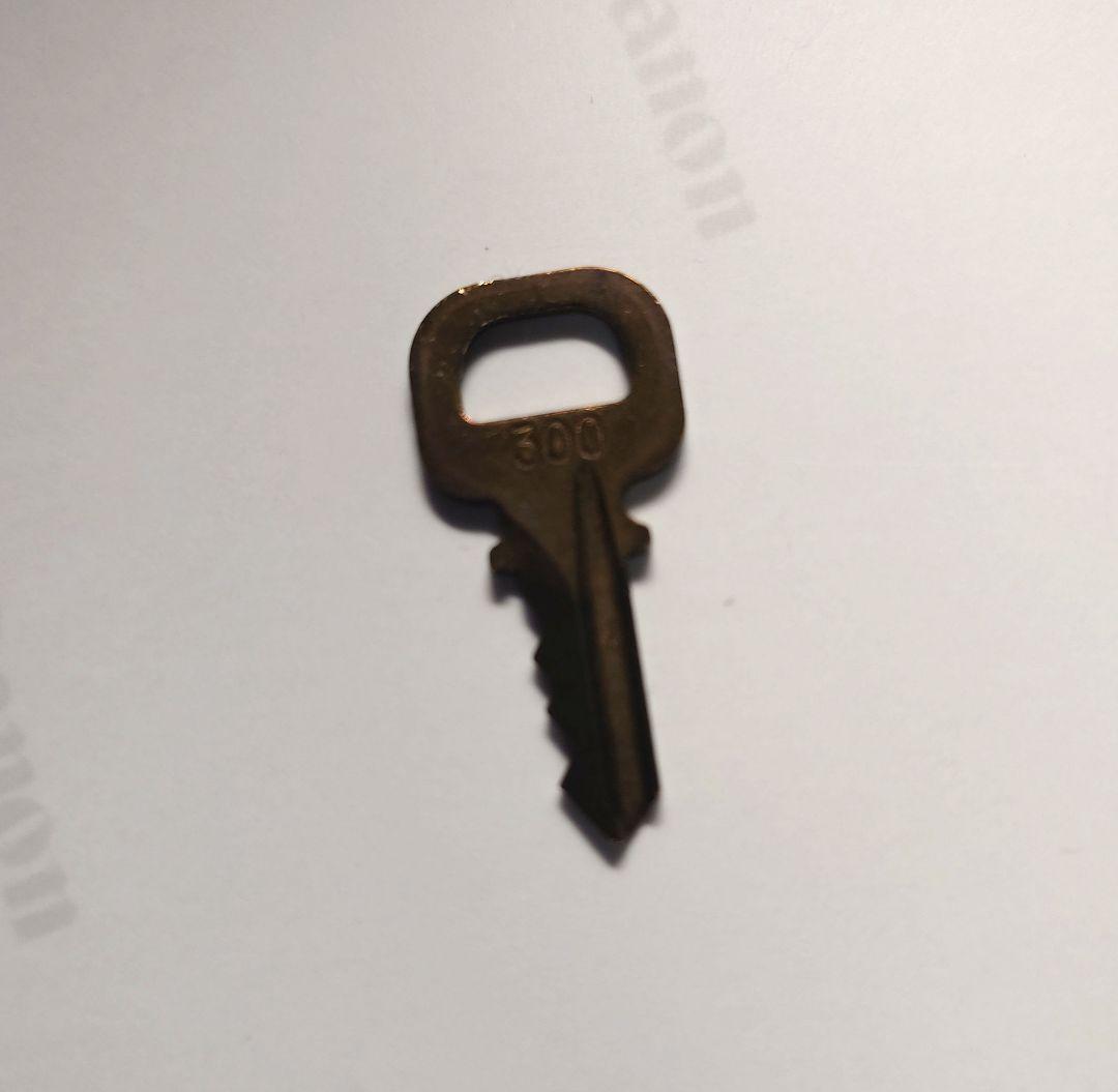 最終処分 ルイ · ヴィトン ボストン キーポル 60