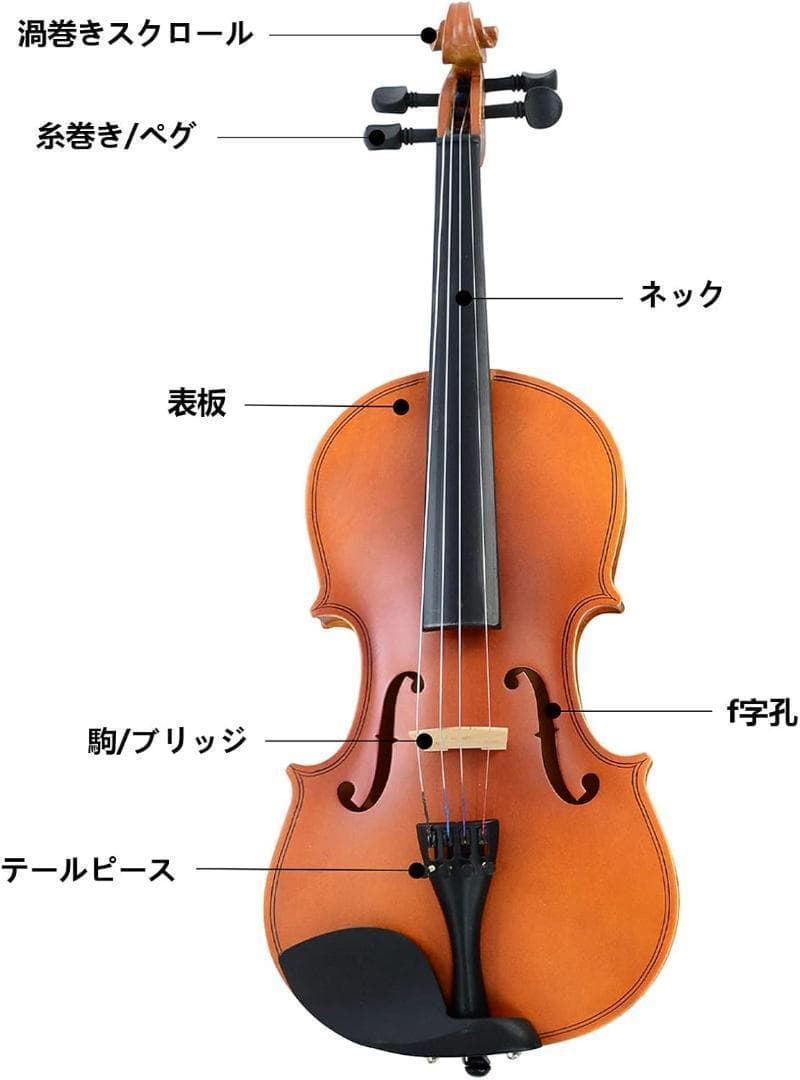 M2214-121-86】バイオリン 3/4 初心者セット ヴァイオリン 弓2本