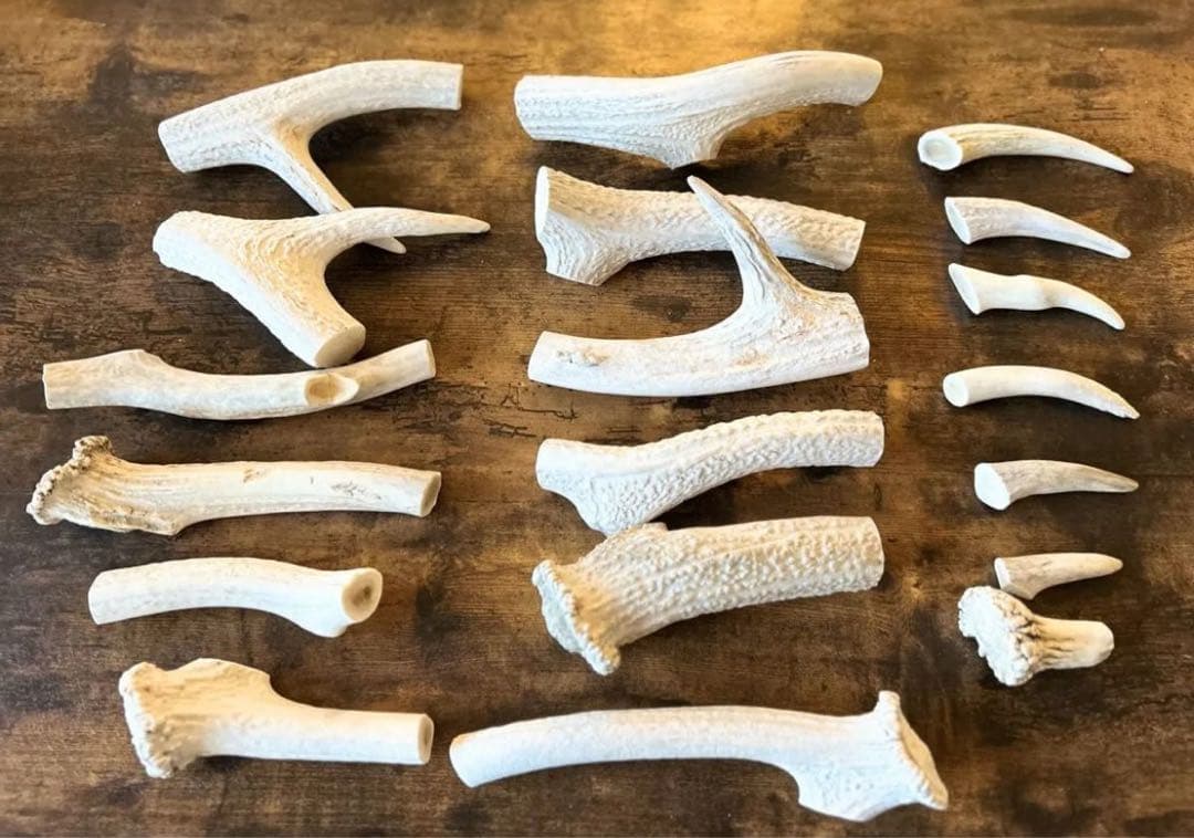 北海道産 蝦夷鹿の角 天然 19個 2,74kg 【3月まで】