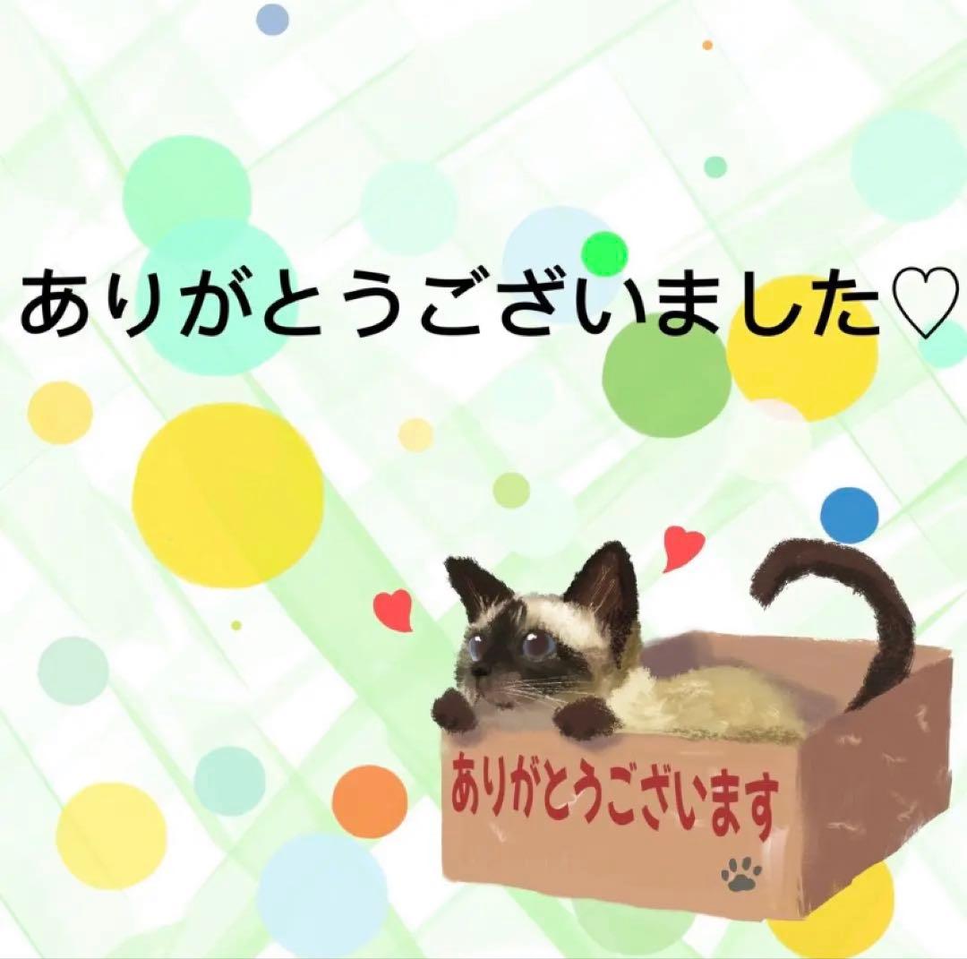 【9422】海外マステ　3/5/巻　貝殻光マスキングテープ　池　金魚　背景装飾系