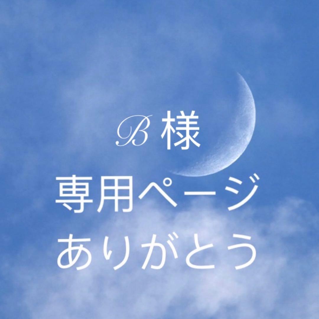 Bページ　295