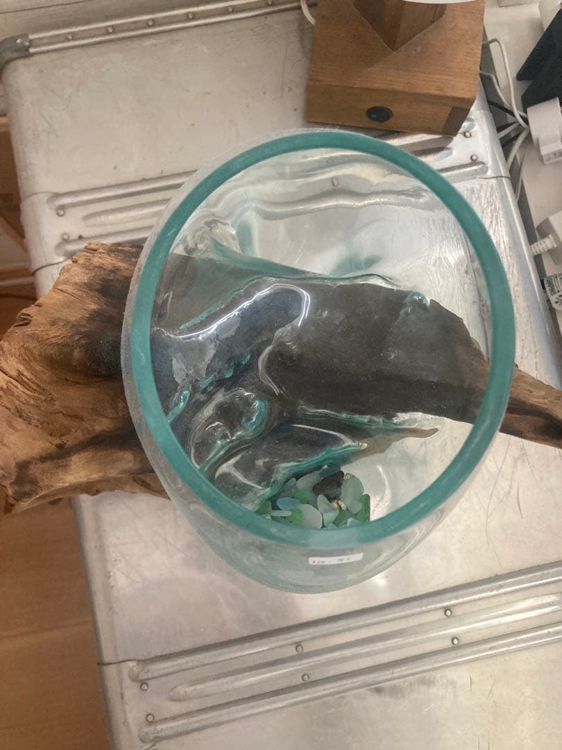 新品未使用　流木　水槽　置物　花瓶　バリ　アジアン　シャビー　KAJA　西海岸