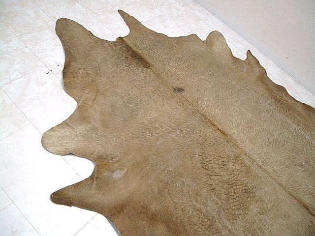 本牛革カウラグ 大判 236×265cm　ハラコラグ　絨毯　敷物　ラグカーペット