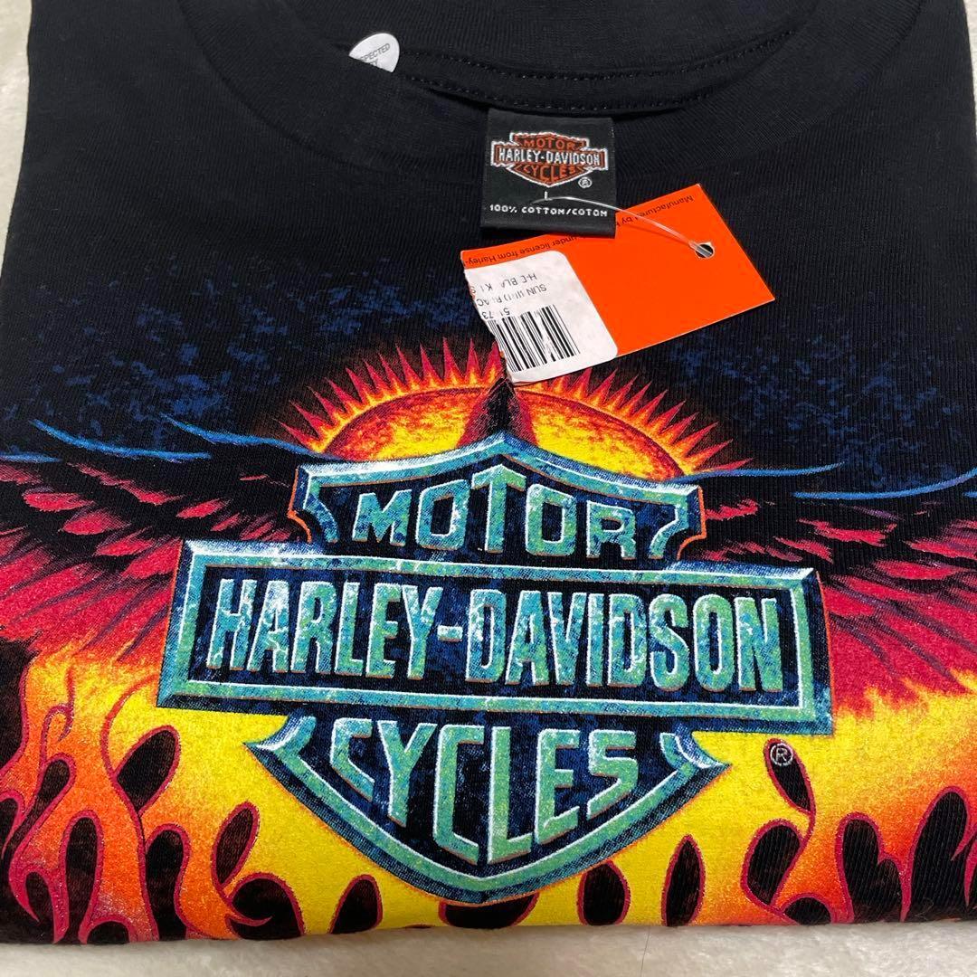 激レアデッド HARLEY DAVIDSON /EAGLE FLAME フレイム