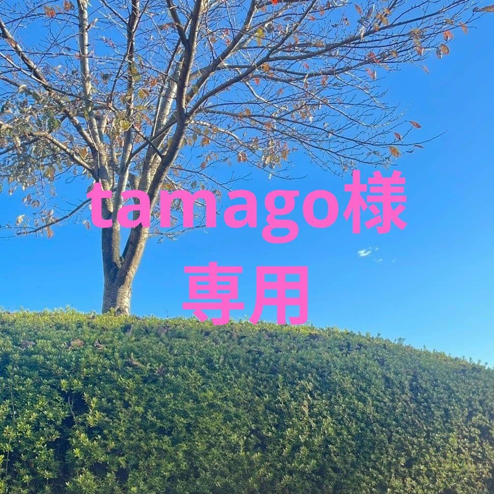 財布・ケース・小物入れ tamago