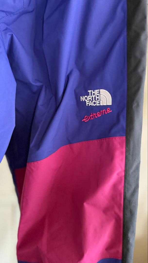 THE NORTH FACE NS62216 スノーパンツ L