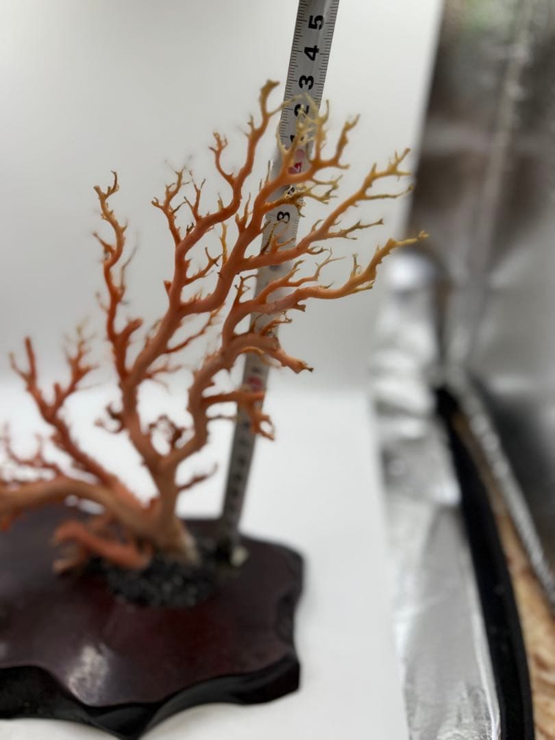 桃色珊瑚置物