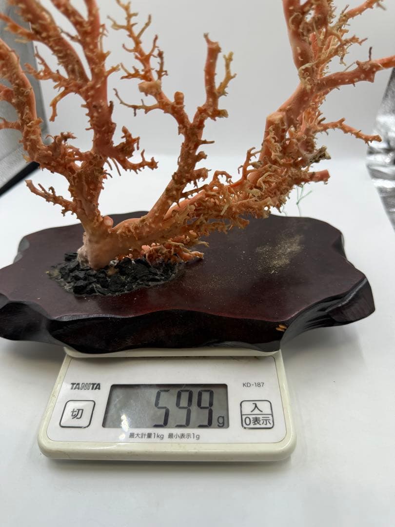 桃色珊瑚置物